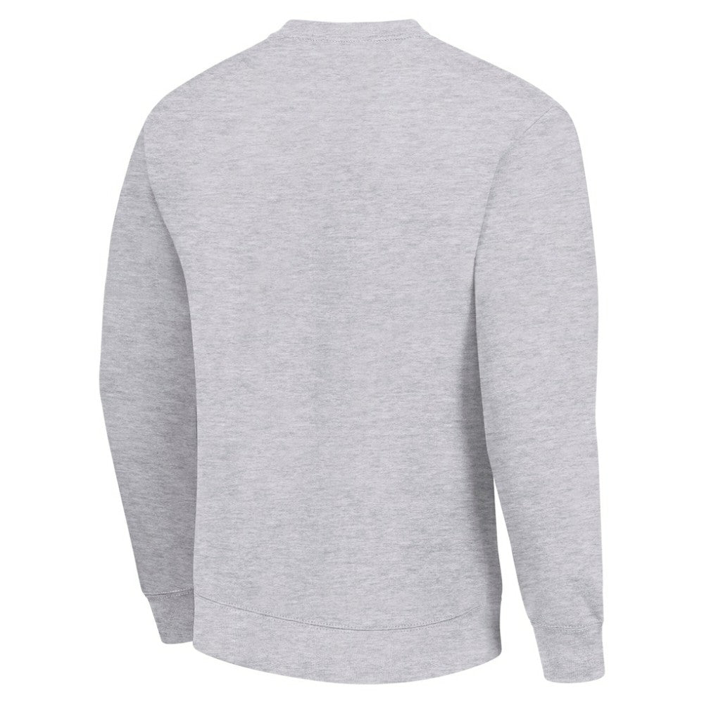 Carolina Hurricanes Men's Starter Team Logo Fleece Pullover Sweatshirt - Heather Gray Sweatshirts