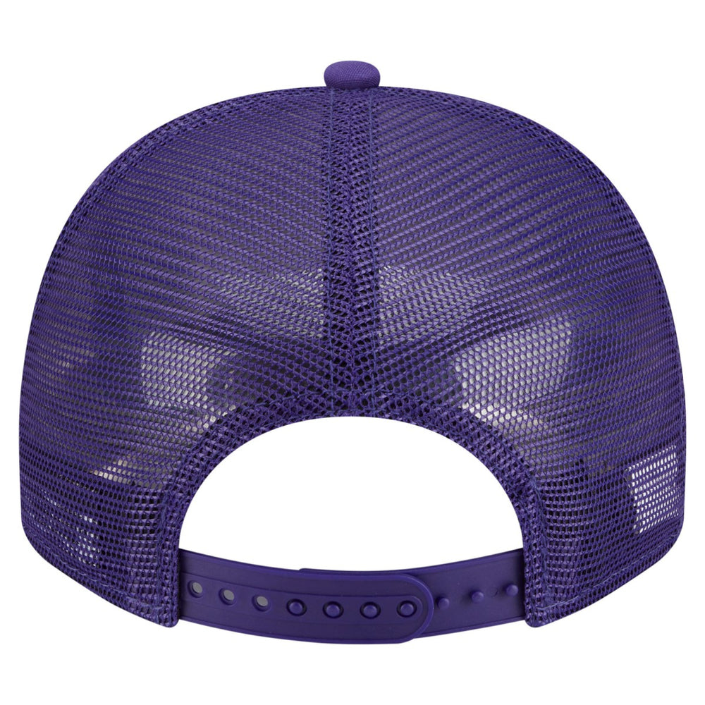 Phoenix Suns Vintage Team Rope A-Frame 9FIFTY Snapback Hat - Purple online