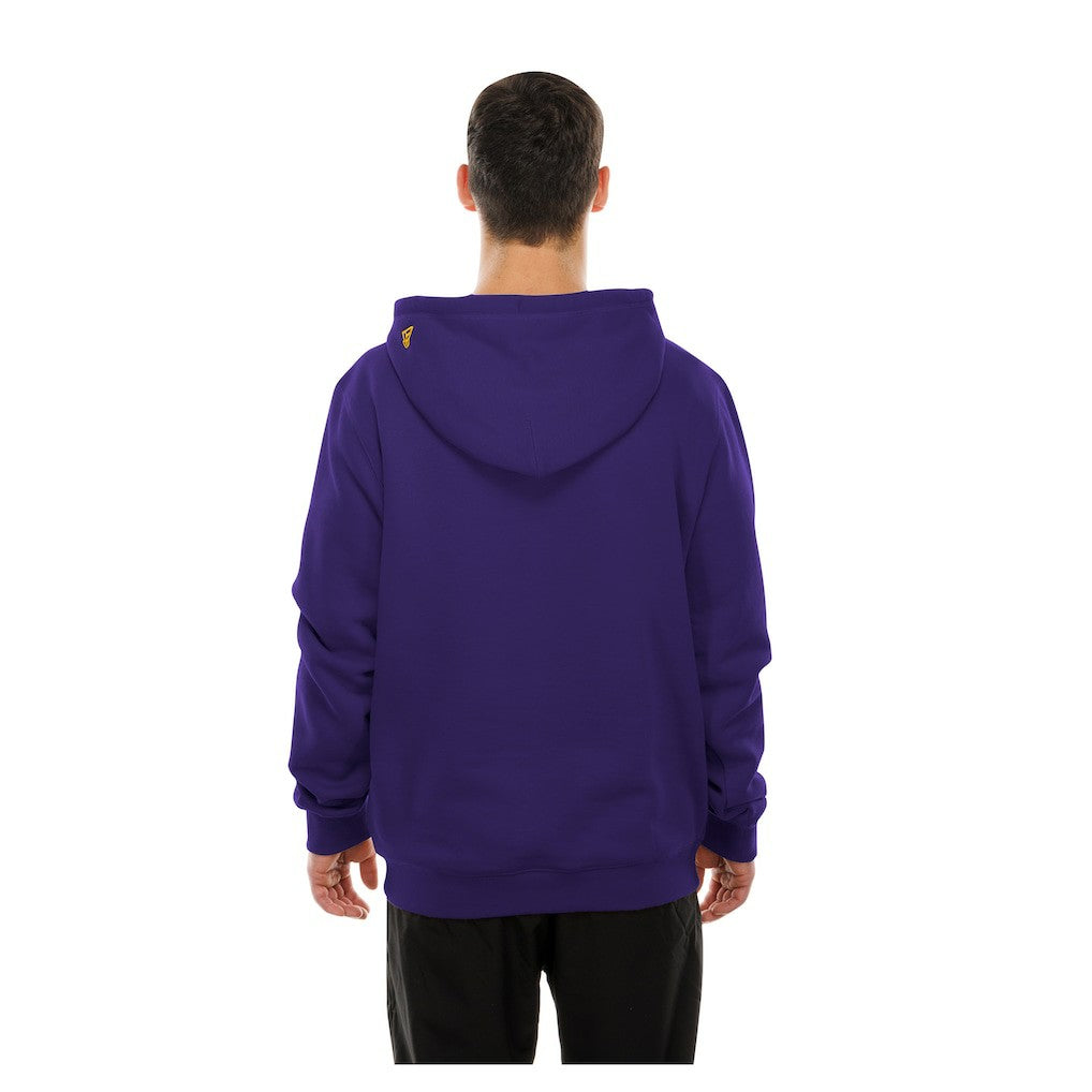 Minnesota Vikings New Era Combine Authentic Local State Throwback Hoodie - Purple for sale