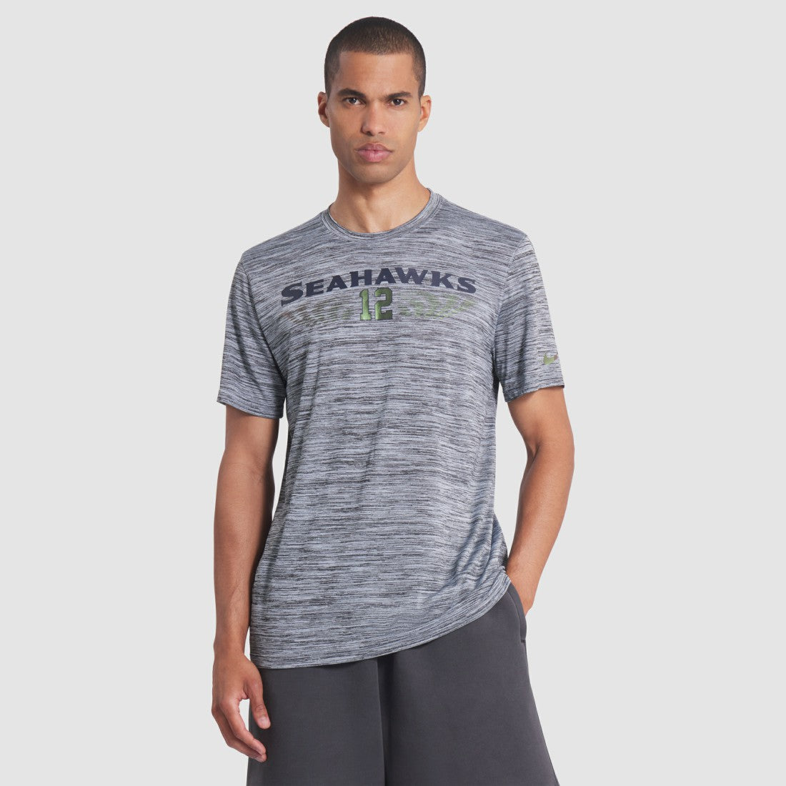 Seattle Seahawks 2025 Rivalries Collection Sideline Velocity Dri-FIT T-Shirt - Wolf Gray online