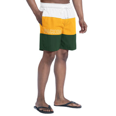 Green Bay Packers G-III Sports by Carl Banks Sunrise Volley Swim Shorts - Green/Gold online