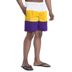 Minnesota Vikings G-III Sports by Carl Banks Sunrise Volley Swim Shorts - Purple/Gold online
