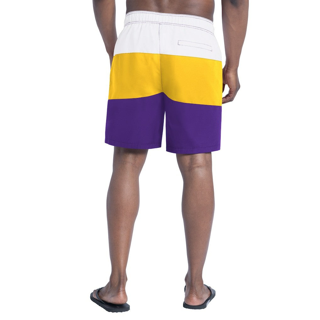 Minnesota Vikings G-III Sports by Carl Banks Sunrise Volley Swim Shorts - Purple/Gold online