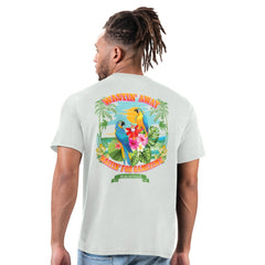 Atlanta Falcons Margaritaville Wastin' Away T-Shirt - Gray cheap