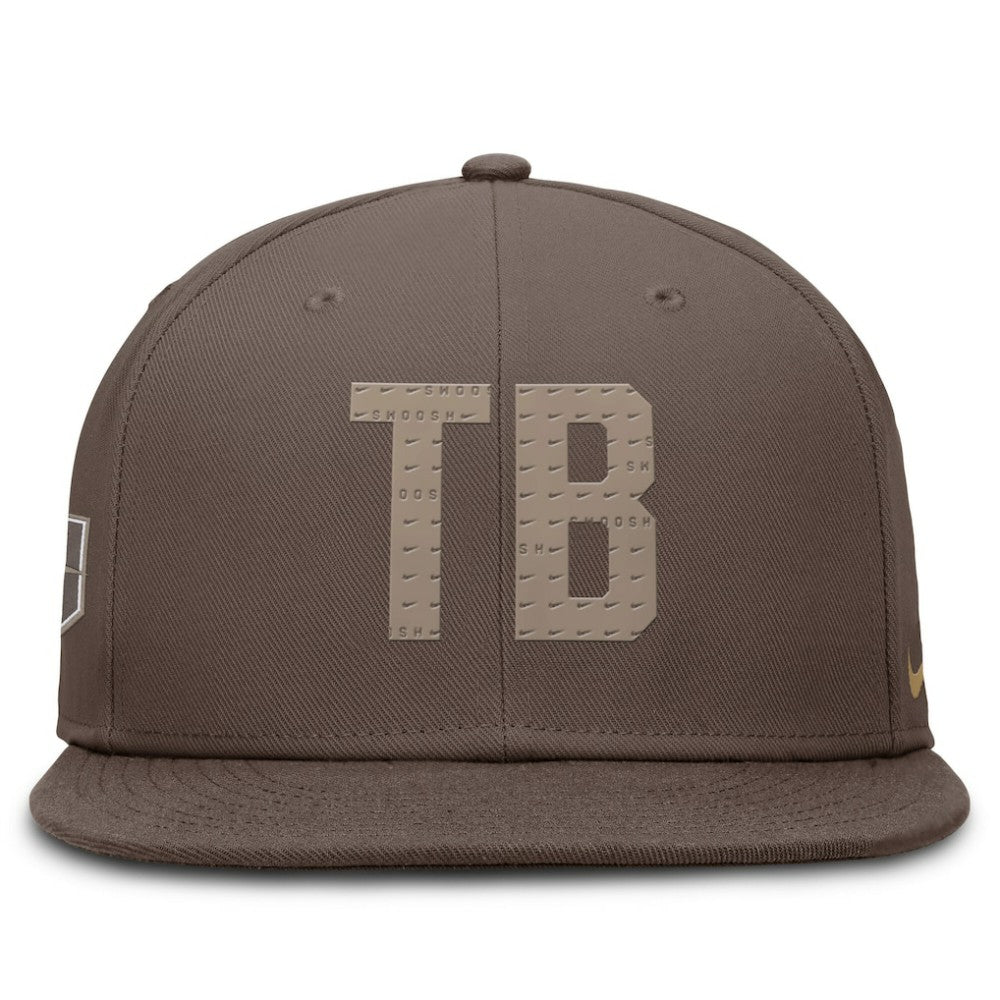 Tampa Bay Rays True Statement 20th AnniversaryPerformance Fitted Hat Brown