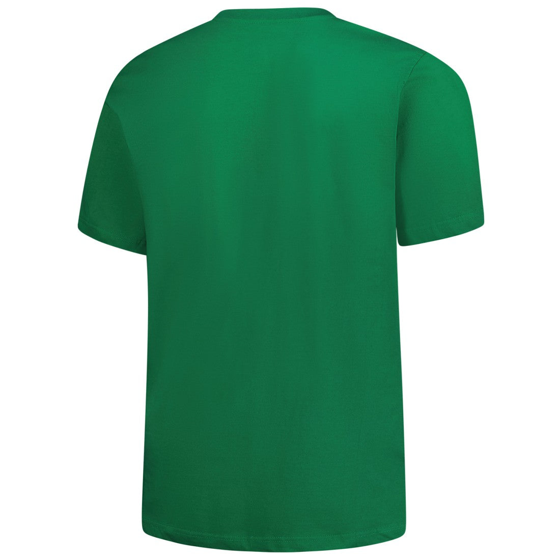 Detroit Lions Big & Tall Celtic T-Shirt - Kelly Green online