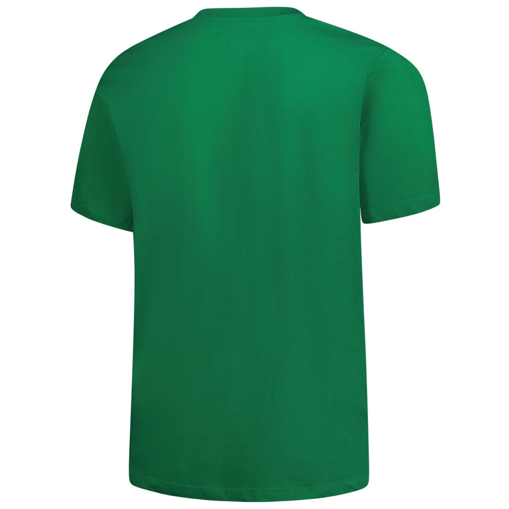 Detroit Lions Big & Tall Celtic T-Shirt - Kelly Green online