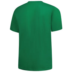Detroit Lions Big & Tall Celtic T-Shirt - Kelly Green online