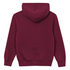 Washington Commanders Outerstuff Preschool Back to Basics Hoodie - Burgundy discount