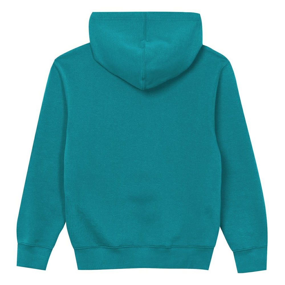 Miami Dolphins Outerstuff Preschool Back to Basics Hoodie - Aqua for sale