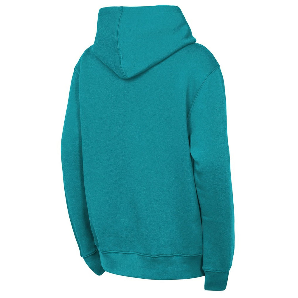 Miami Dolphins Outerstuff Youth Back to Basics Hoodie - Aqua online