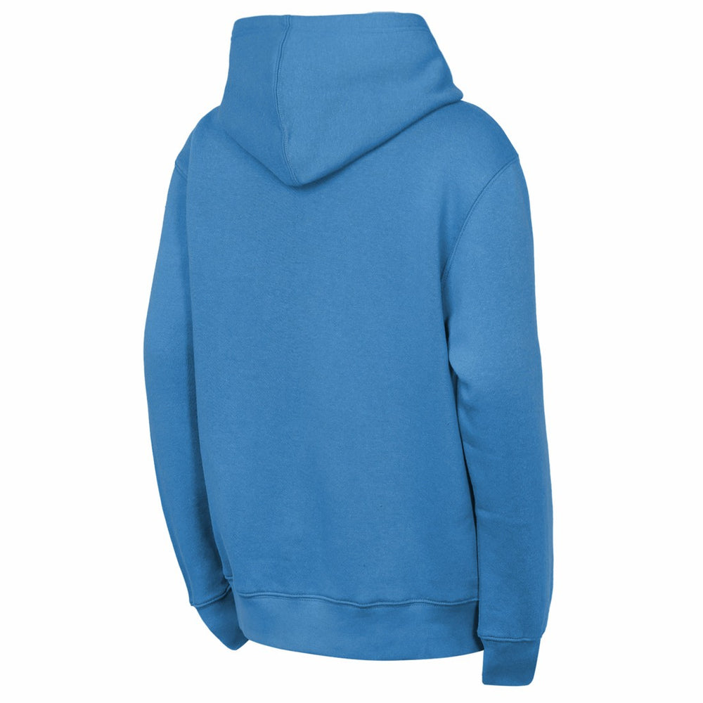 Tennessee Titans Outerstuff Youth Back to Basics Hoodie - Light Blue discount