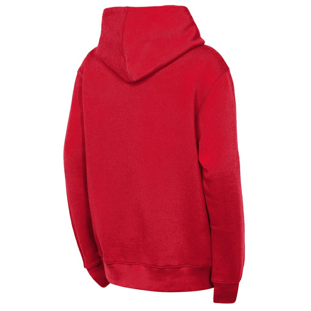Detroit Red Wings Outerstuff Youth Back to Basics Hoodie - Red Hoodies