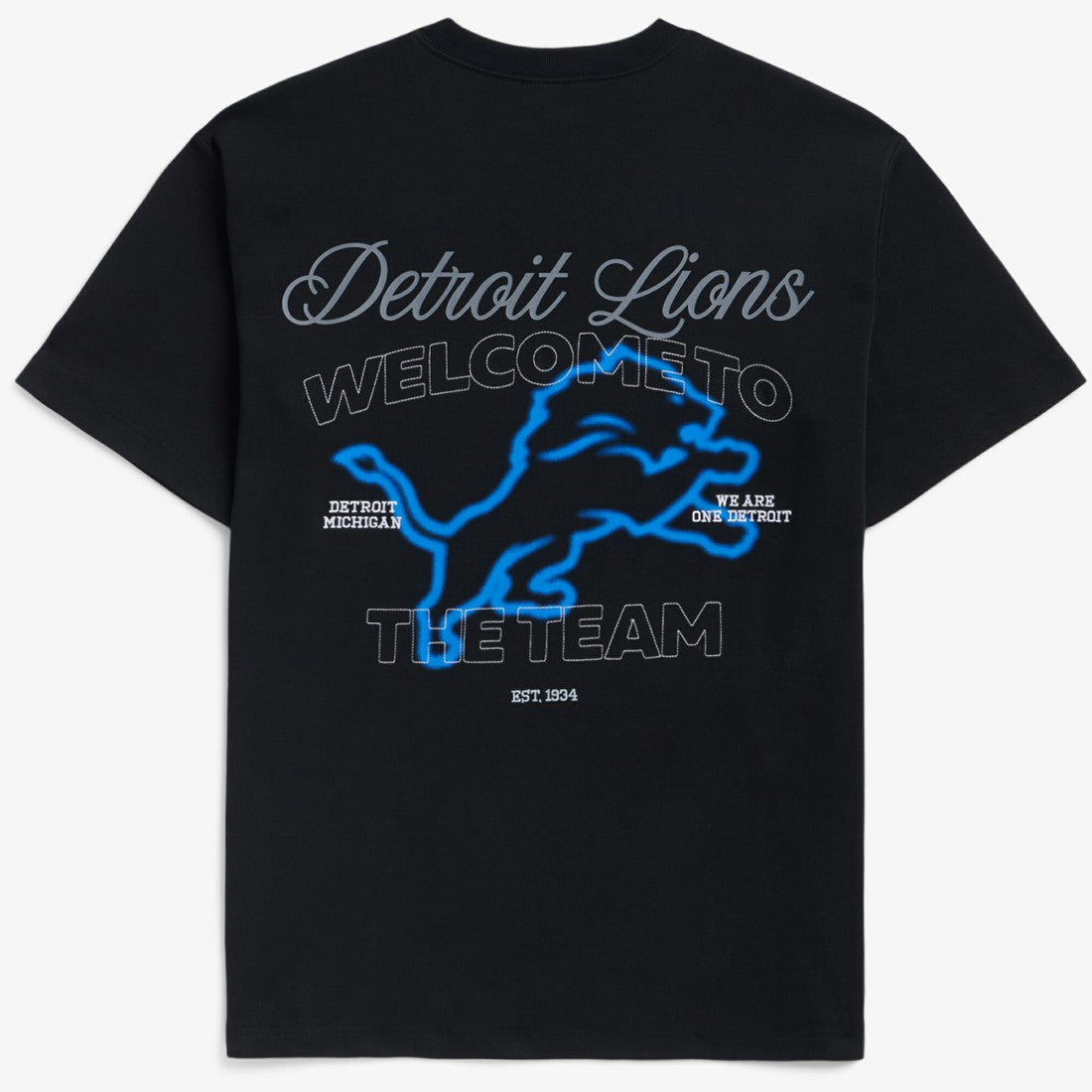 Detroit Lions Off Season x NFL Unisex Graphic T-Shirt - Black for sale