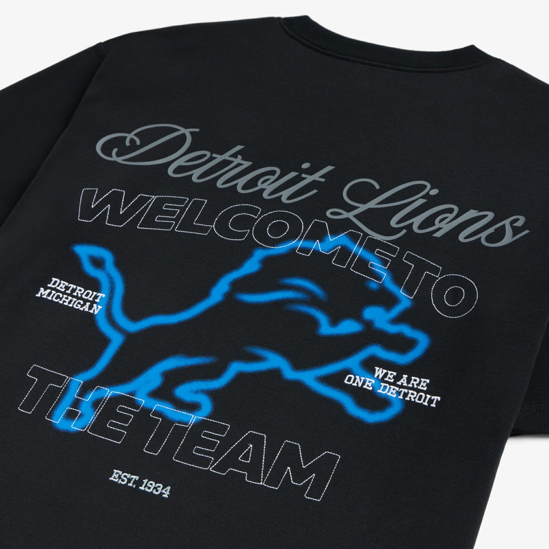 Detroit Lions Off Season x NFL Unisex Graphic T-Shirt - Black for sale