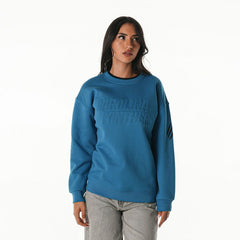Carolina Panthers The Wild Collective Unisex Fleece Sweatshirt - Blue sale