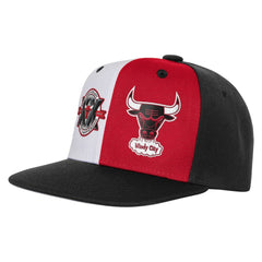 Chicago Bulls Youth 20th Anniversary Duo Front Snapback Hat - Black discount