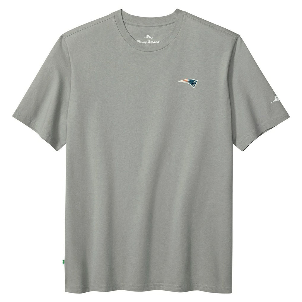 New England Patriots Huddle & Hang Tens T-Shirt - Gray online