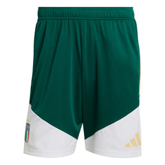 Italy National Team FIFA x World Cup 2026 Tiro Training Shorts - Green online