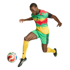 Jamaica National Team 2026 Pre-Match Training Jersey - Green online