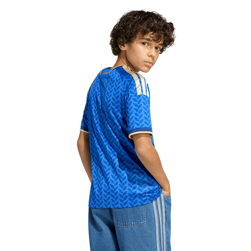 Italy National Team Youth FIFA x World Cup 2026 Home Replica Jersey - Blue sale