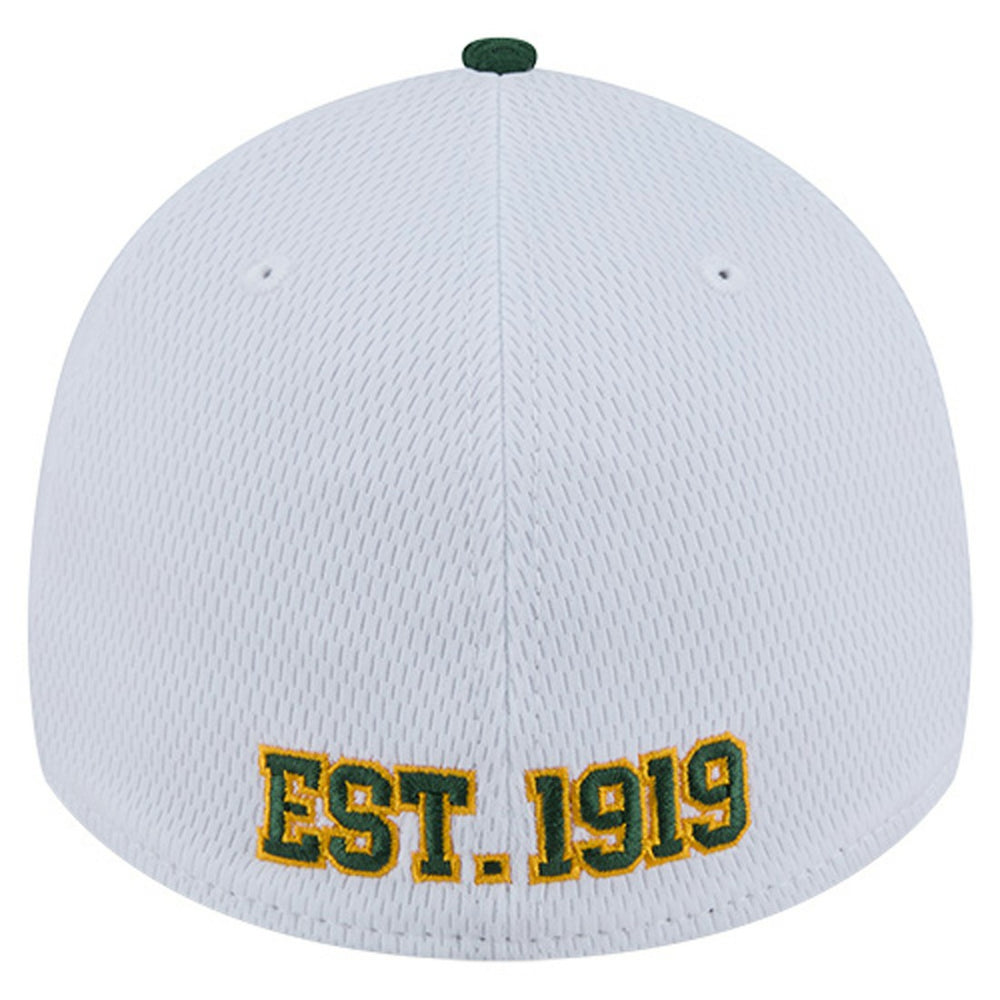 Green Bay Packers New Era Dashmark Rays 39THIRTY Flex Hat - White/Green online