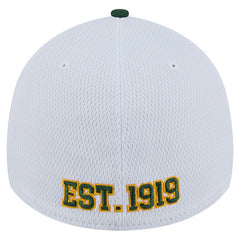 Green Bay Packers New Era Dashmark Rays 39THIRTY Flex Hat - White/Green online