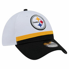 Pittsburgh Steelers New Era Dashmark Rays 39THIRTY Flex Hat - White/Black for sale