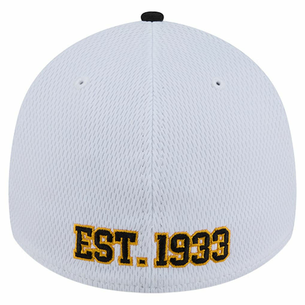 Pittsburgh Steelers New Era Dashmark Rays 39THIRTY Flex Hat - White/Black for sale