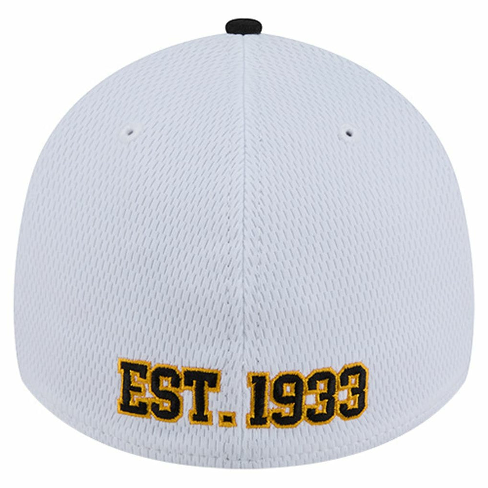 Pittsburgh Steelers New Era Dashmark Rays 39THIRTY Flex Hat - White/Black for sale