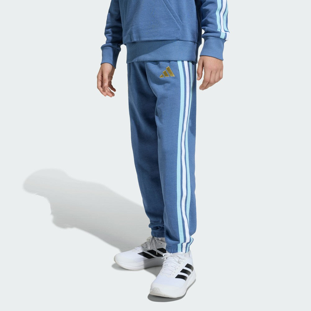 Argentina National Team Youth FIFA x World Cup Alphaskin Pants - Blue online