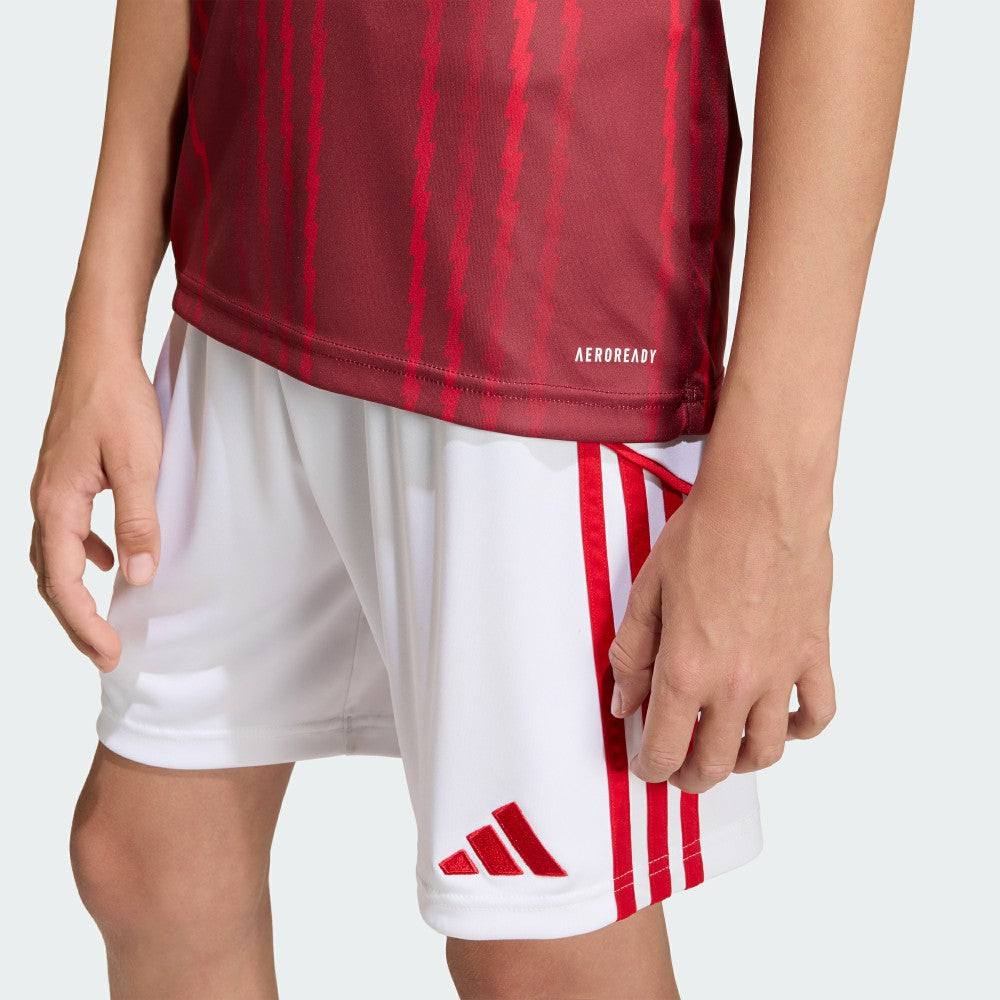 Arsenal Youth 2025/26 Pre-Match Training Jersey - Red shop