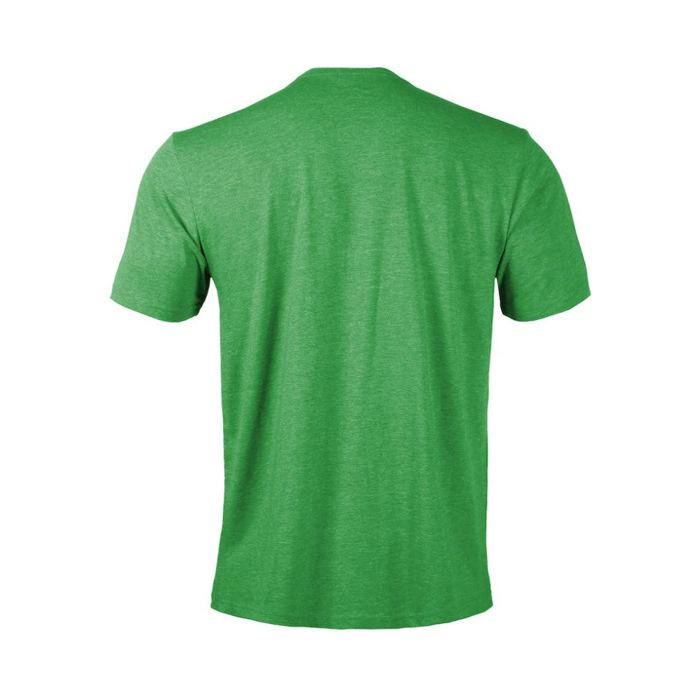 Dallas Stars Levelwear Youth Little Richmond Banner Arch T-Shirt - Green T-shirts