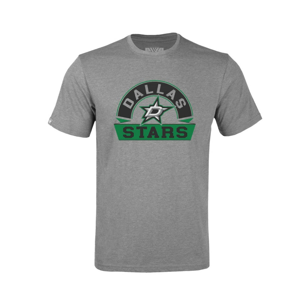 Dallas Stars Levelwear Youth Little Richmond Banner Arch T-Shirt - Gray T-shirts