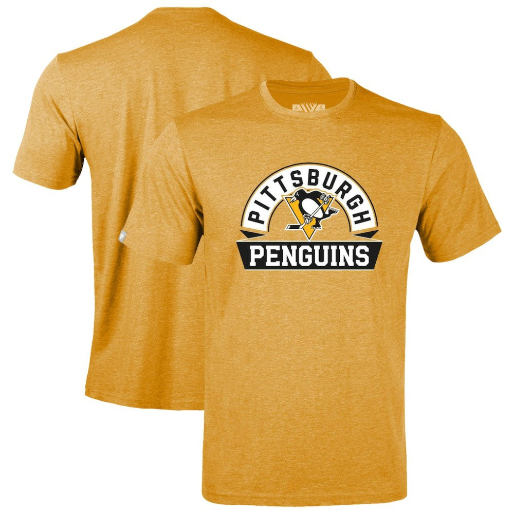 Pittsburgh Penguins Levelwear Youth Little Richmond Banner Arch T-Shirt - Gold T-shirts