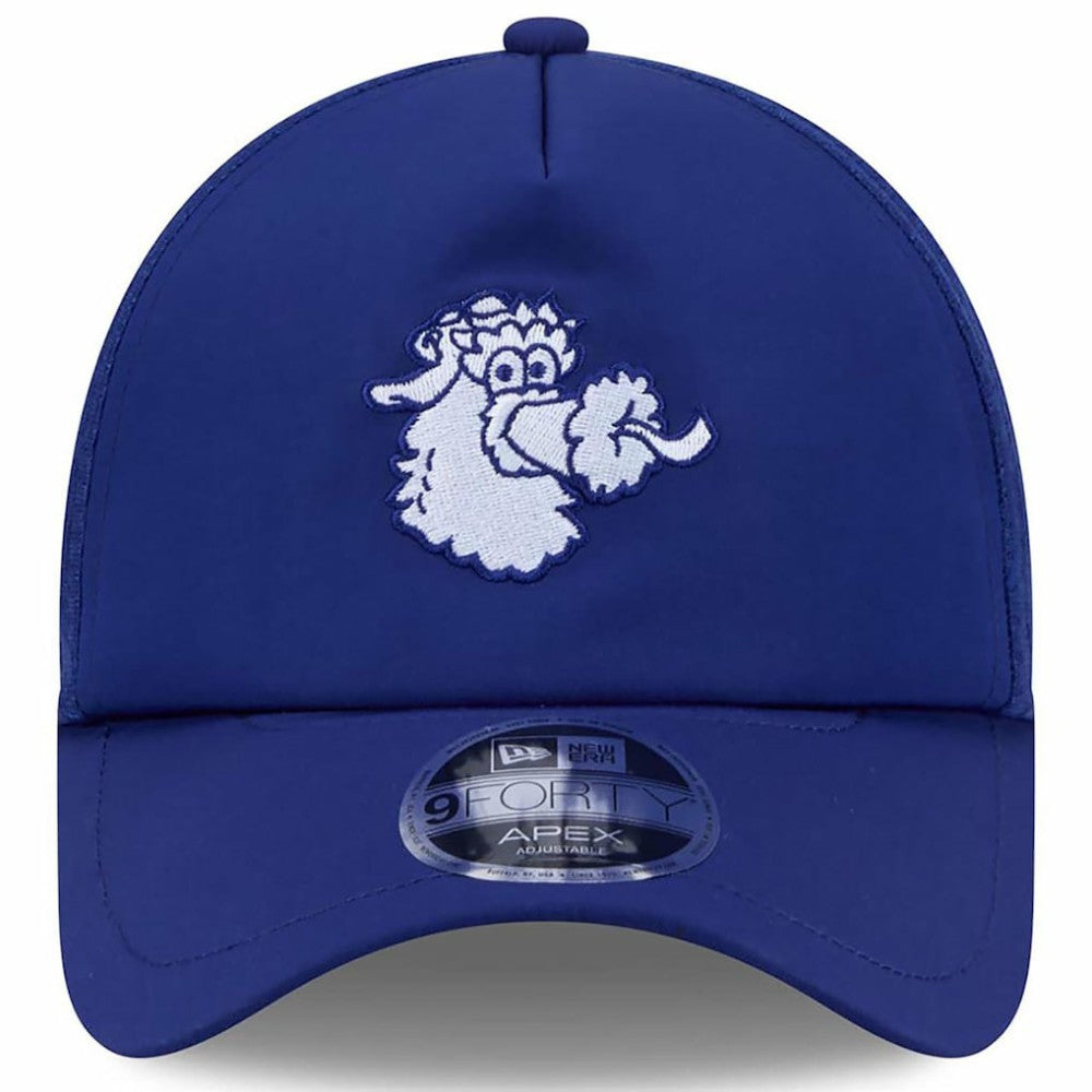 Philadelphia Phillies 2026 Batting Practice Alternate Apex 9FORTY Adjustable Hat Royal