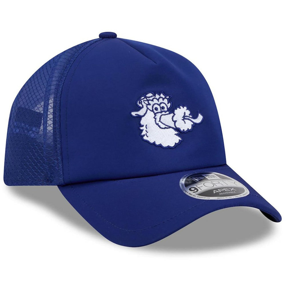 Philadelphia Phillies 2026 Batting Practice Alternate Apex 9FORTY Adjustable Hat Royal