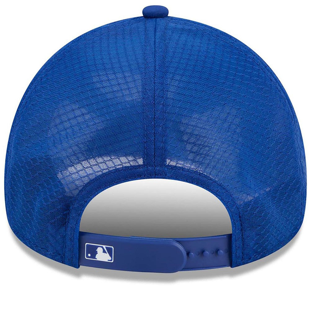 New York Mets 2026 Batting Practice Alternate Apex 9FORTY Adjustable Hat Royal