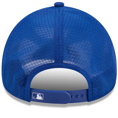 New York Mets 2026 Batting Practice Alternate Apex 9FORTY Adjustable Hat Royal