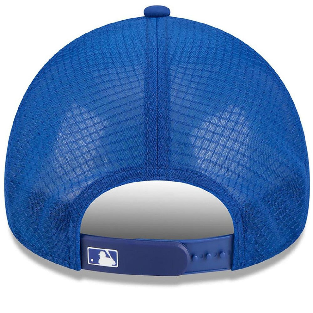 New York Mets 2026 Batting Practice Alternate Apex 9FORTY Adjustable Hat Royal