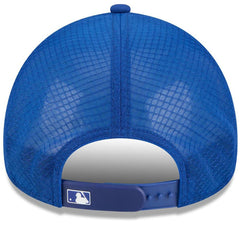New York Mets 2026 Batting Practice Alternate Apex 9FORTY Adjustable Hat Royal