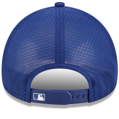 Los Angeles Dodgers 2026 Batting Practice Alternate Apex 9FORTY Adjustable Hat Royal