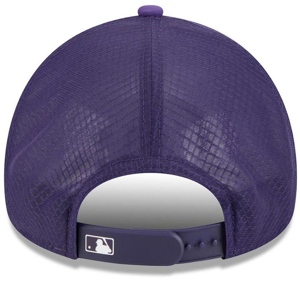 Arizona Diamondbacks 2026 Batting Practice Alternate Apex 9FORTY Adjustable Hat Purple