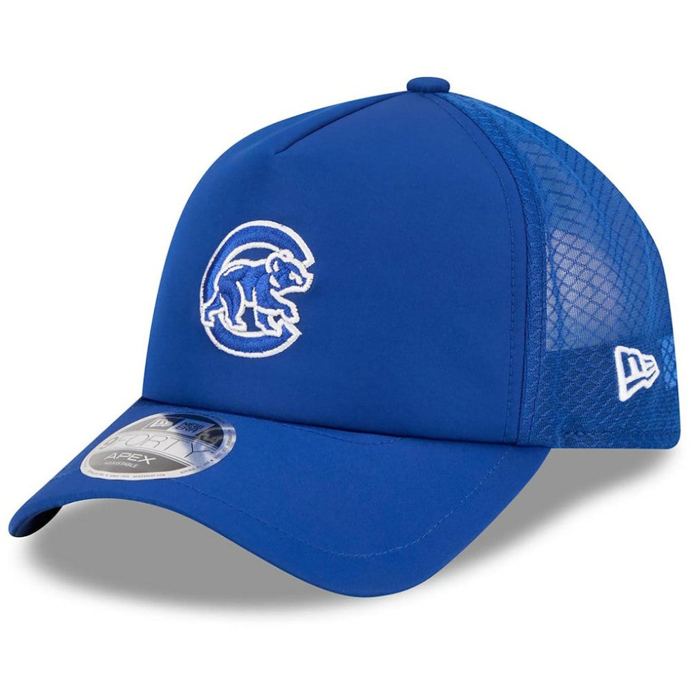 Chicago Cubs 2026 Batting Practice Alternate Apex 9FORTY Adjustable Hat Royal