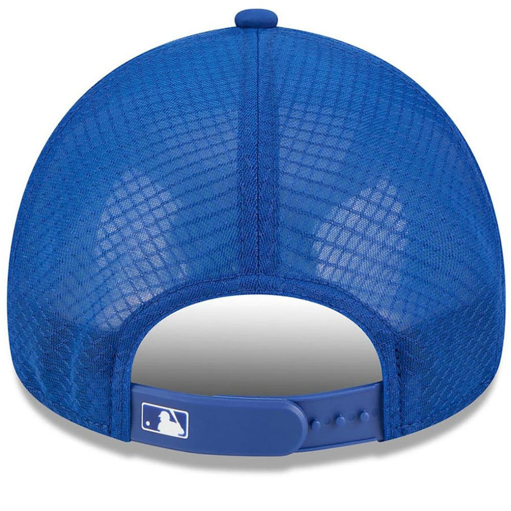 Chicago Cubs 2026 Batting Practice Alternate Apex 9FORTY Adjustable Hat Royal