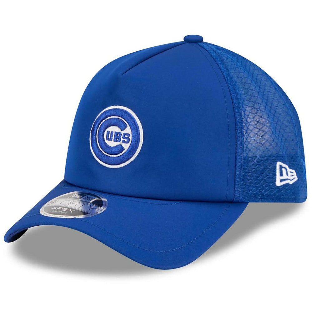 Chicago Cubs 2026 Batting Practice Alternate Apex 9FORTY Adjustable Hat Royal