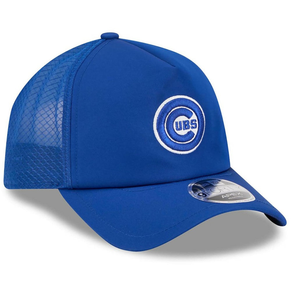Chicago Cubs 2026 Batting Practice Alternate Apex 9FORTY Adjustable Hat Royal