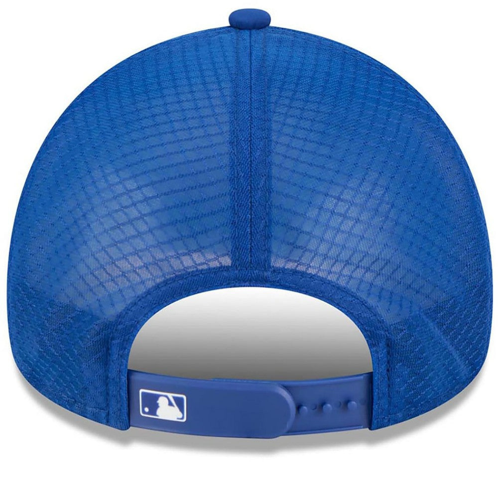 Chicago Cubs 2026 Batting Practice Alternate Apex 9FORTY Adjustable Hat Royal