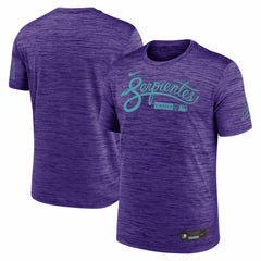Arizona Diamondbacks Authentic Collection City Connect Velocity Dri-FIT T-Shirt Purple