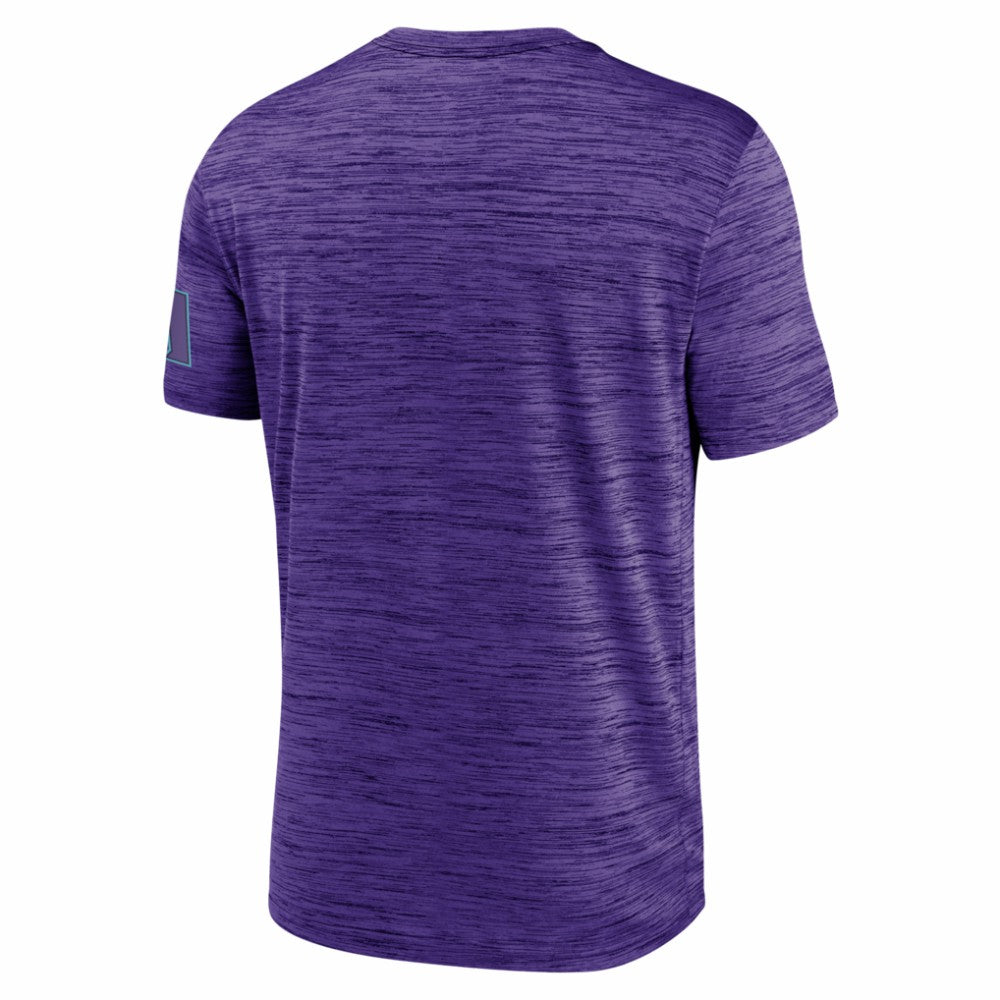 Arizona Diamondbacks Authentic Collection City Connect Velocity Dri-FIT T-Shirt Purple